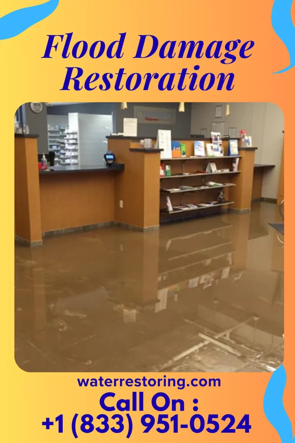 Flood Damage Restoration in Woodland Park, NE