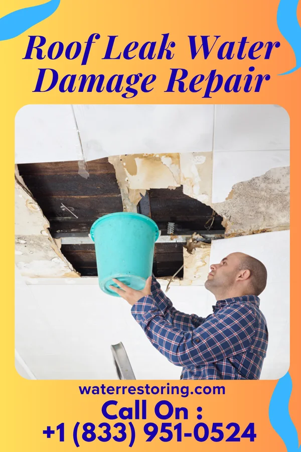 Roof Leak Water Damage Repair in Woodland Park, NE