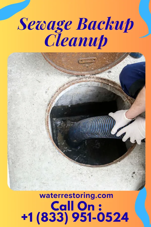 Sewage Backup Cleanup in Woodland Park, NE