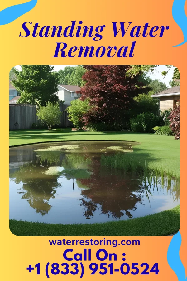 Standing Water Removal in Woodland Park, NE